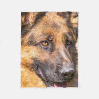 Cobertor De Velo A cobertura do german shepherd - o shedder alemão!