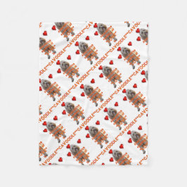 Cobertor De Velo a soletração alternativa do AMOR é CAVOODLE