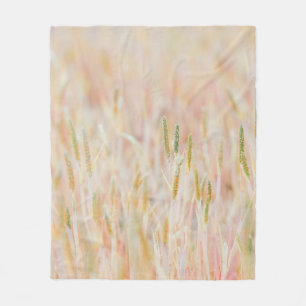 COBERTOR DE VELO A TERRA FOI TRANSFORMADA EM PASTEL COLORIDA POR EL