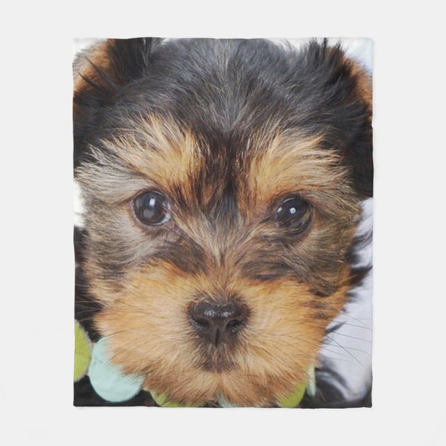 Cobertor De Velo Adorable Yorkshire Terrier (Frente)