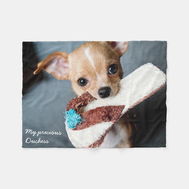 Cobertor De Velo Adorável Chihuahua Fleece Blanket (Frente (Horizontal))