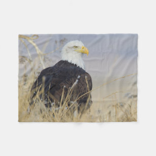 Cobertor De Velo Águia americana na terra