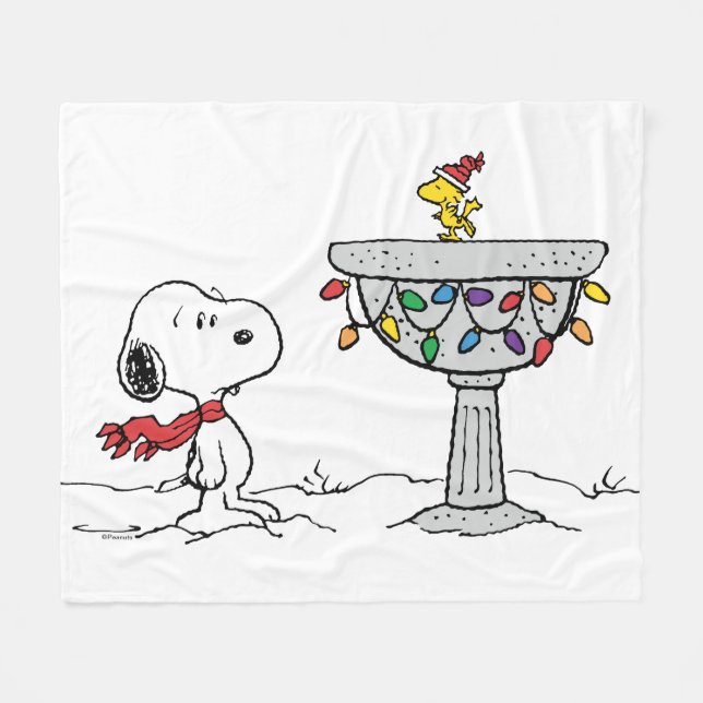 Cobertor De Velo Amendoins | Snoopy & Woodstock congelado (Frente (Horizontal))