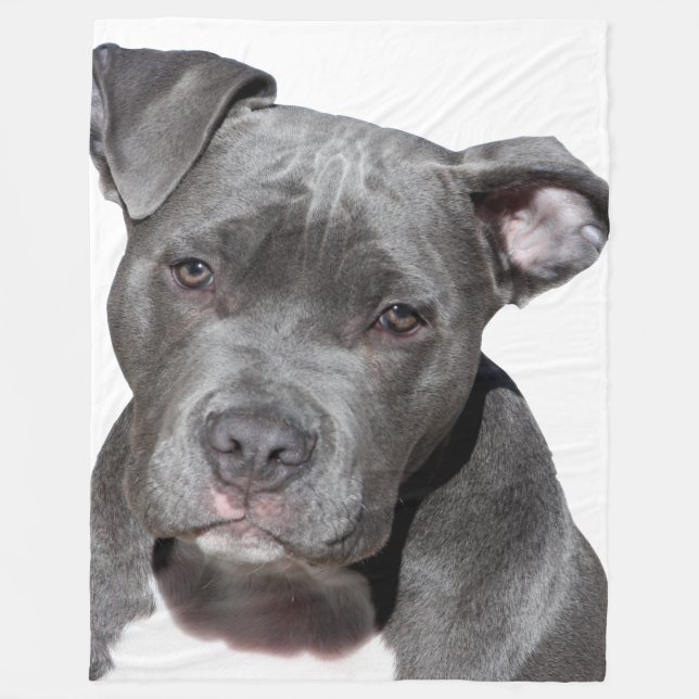 Cobertor De Velo American Pit Bull Terrier (Frente)
