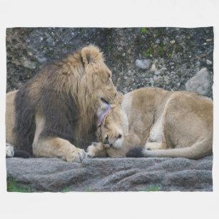 Cobertor De Velo Amor poderoso do leão