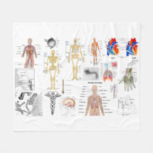 Cobertor De Velo Anatomia humana Diagramas médicos com cheio