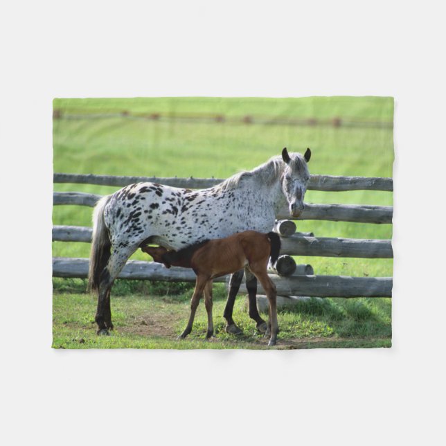 Cobertor De Velo Appaloosa Mare e Colt Horse (Frente (Horizontal))