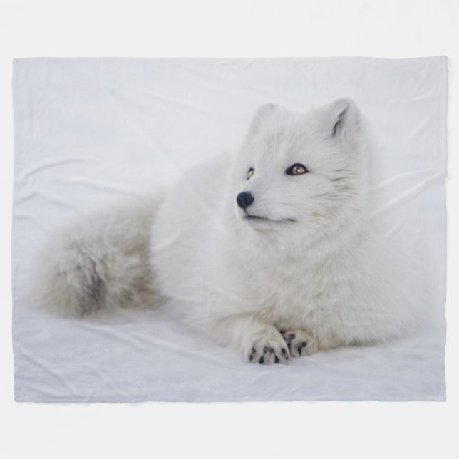 COBERTOR DE VELO ARTIC FOX (Frente (Horizontal))