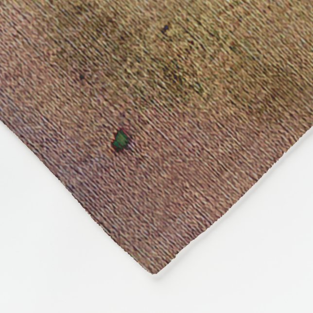 Cobertor De Velo Através de um vidro escuro (Quina)