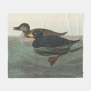 Cobertor De Velo Audubon American Scoter Duck