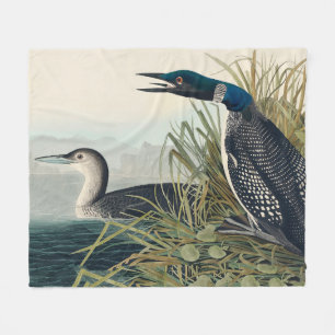 Cobertor De Velo Audubon Bird Loon Diver Classic