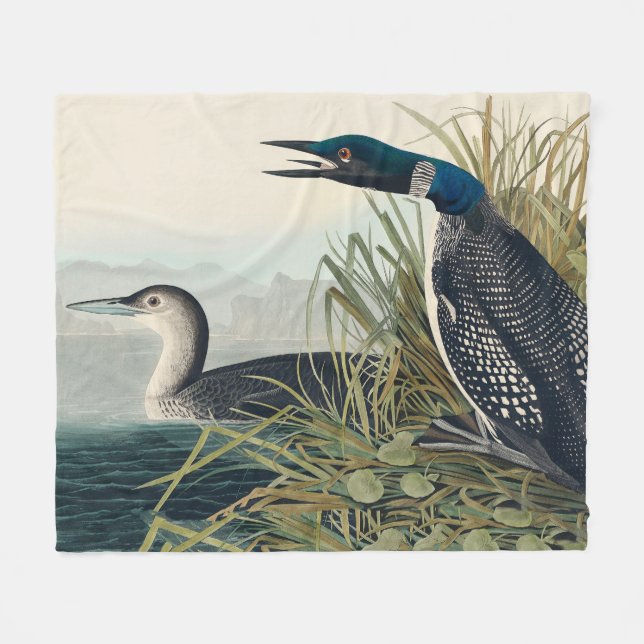 Cobertor De Velo Audubon Bird Loon Diver Classic (Frente (Horizontal))