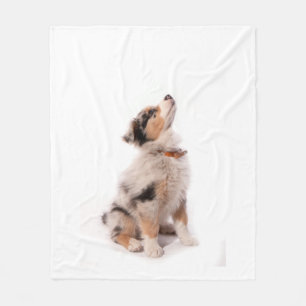 Cobertor De Velo Australian shepherd puppy