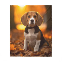 Autumn Beagle Pup