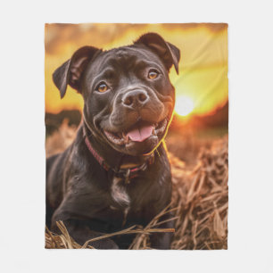 Cobertor De Velo Autumn Staffie