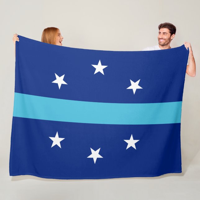 Cobertor De Velo Bandeira de Anaheim (Califórnia, EUA) (In Situ)