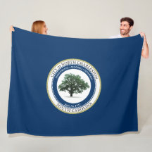 Bandeira do Norte de Charleston (Carolina do Sul)