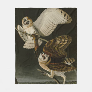 Cobertor De Velo Barn Owl (Tyto alba) Audubon's Birds of America
