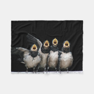 Cobertor De Velo Barn Swallow Singing