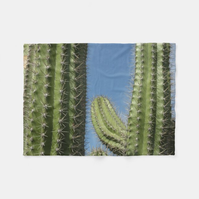 Cobertor De Velo Barrel Cactus I Desert Photo (Frente (Horizontal))