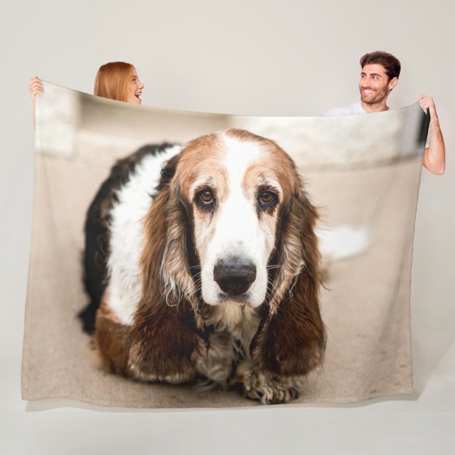 COBERTOR DE VELO BASSET HOUND (In Situ)