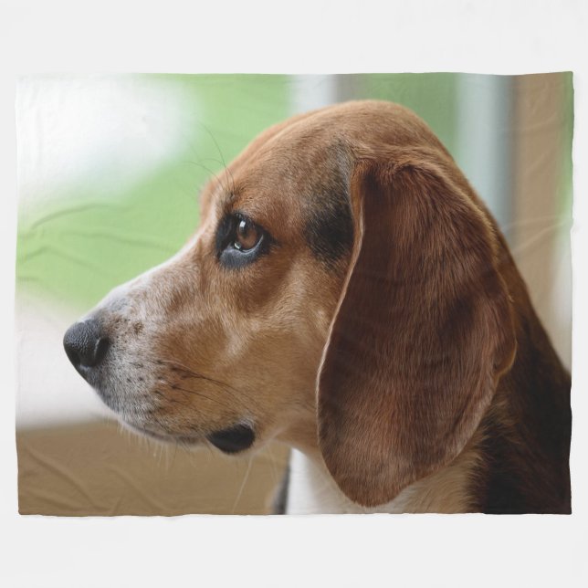 Cobertor De Velo Beagle Sonhando Dia (Frente (Horizontal))