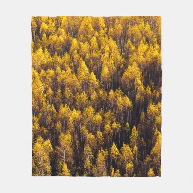COBERTOR DE VELO BEAUTIFUL PINE TREE FOREST (Frente)