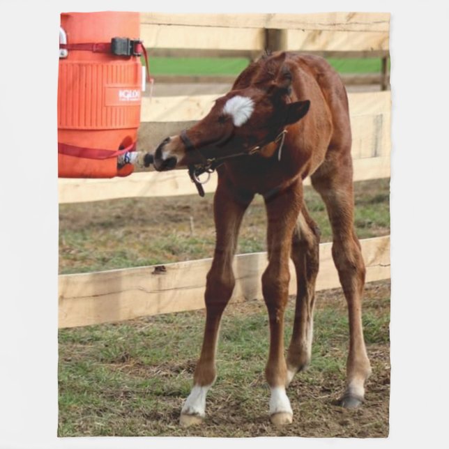 COBERTOR DE VELO BEBÊ COLT TOMANDO UMA BEBIDA (Frente)