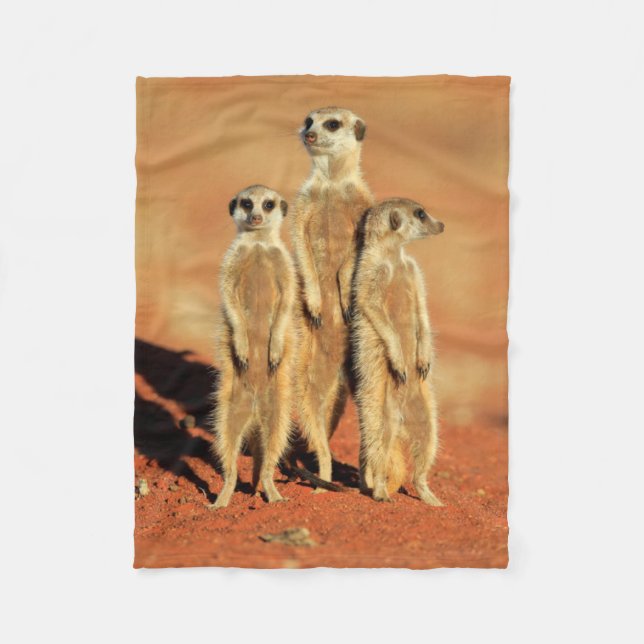 Cobertor De Velo Bebês Mais Pobres | 3 Meerkats (Frente)