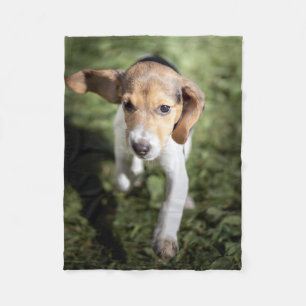 Cobertor De Velo Bebês Mais Pobres Beagle Puppy