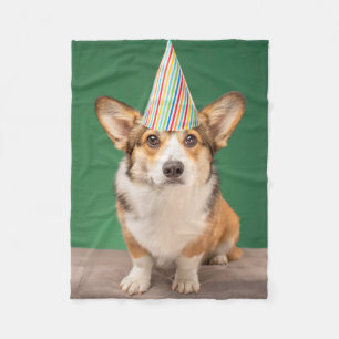 Cobertor De Velo Bebês Mais Pobres   Corgi Birthday Puppy