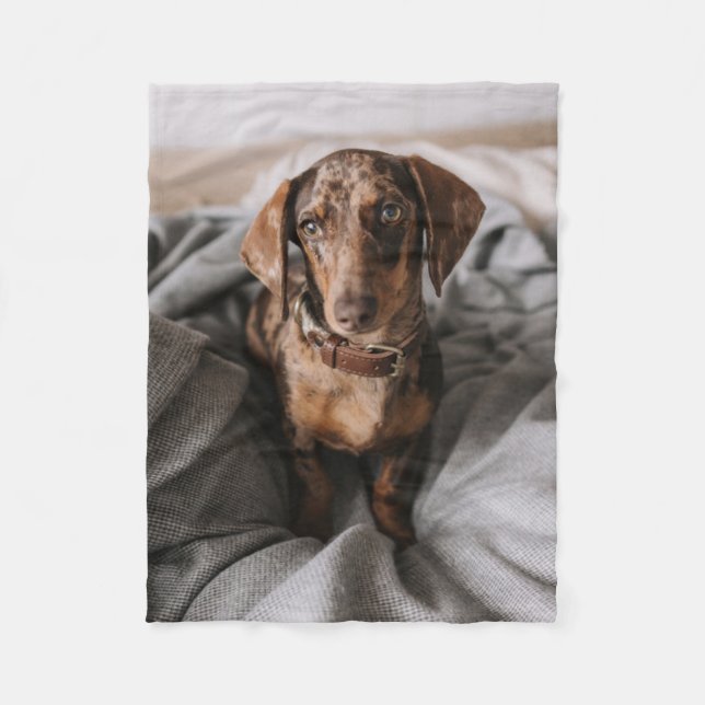Cobertor De Velo Bebês Mais Pobres | Dachshund De Chocolate (Frente)
