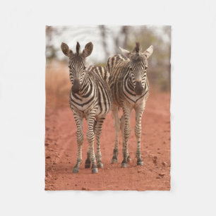 Cobertor De Velo Bebês Mais Pobres Duas jovens zebras