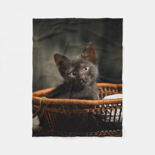 Cobertor De Velo Bebês Mais Pobres Kitten no cesto