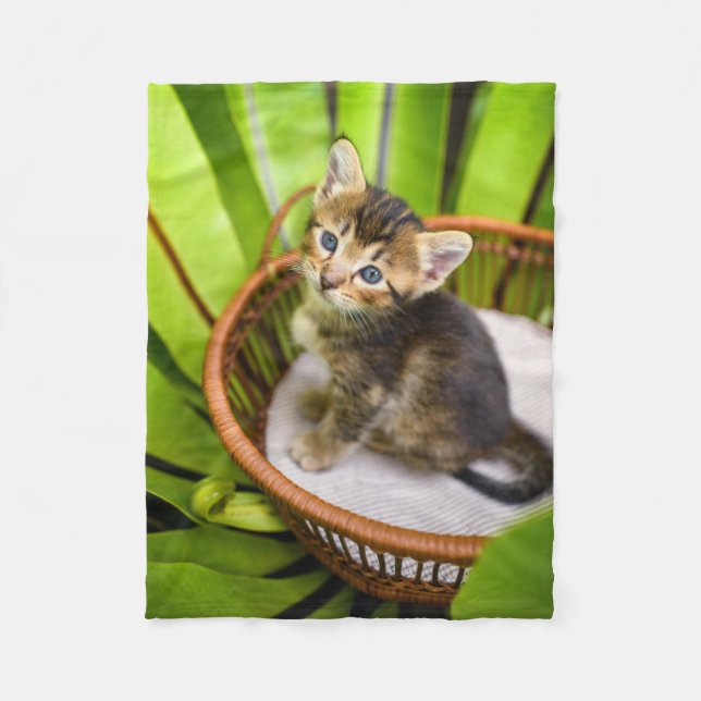 Cobertor De Velo Bebês Mais Pobres | Kitten no cesto (Frente)