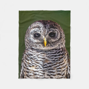 Cobertor De Velo Bebês Mais Pobres   Tawny Owl