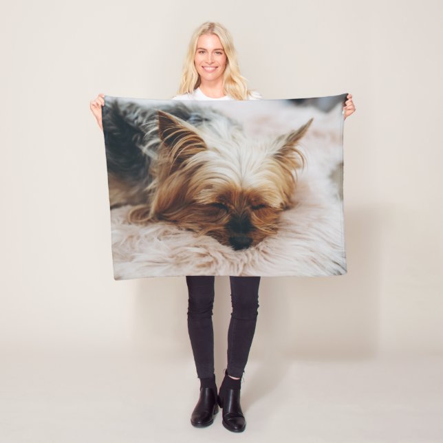 Cobertor De Velo Bebês Mais Pobres | Yorkshire Terrier (In Situ)