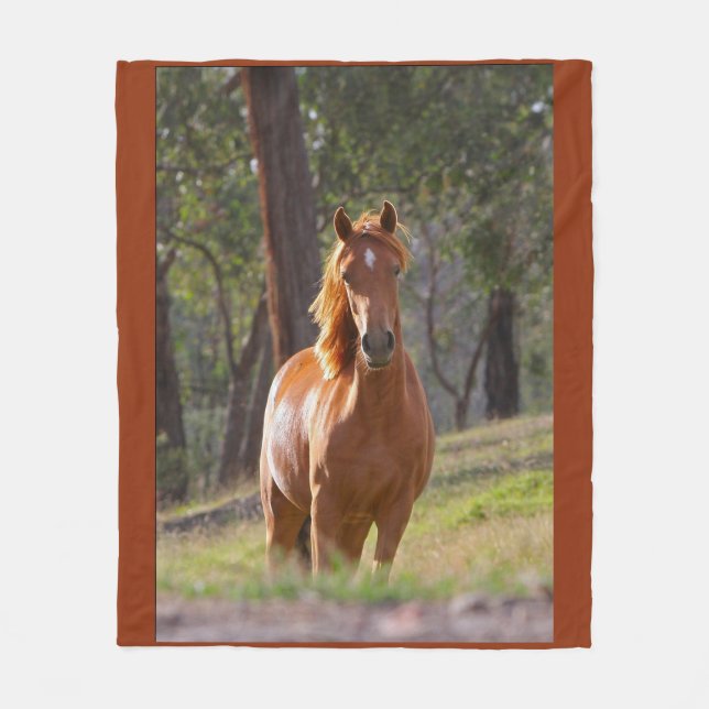 Cobertor De Velo Beleza do cavalo (Frente)