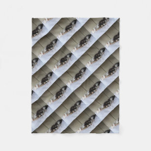 Cobertor De Velo Beleza Dormindo