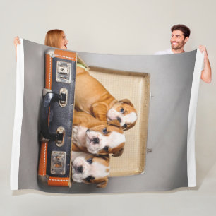 Cobertor De Velo Belo Bulldog Puppies Pão-Cão