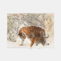 Belo Tigre com Filhote na Neve
