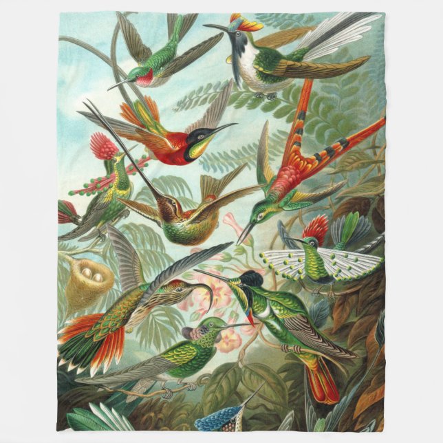 Cobertor De Velo Belos Beija-flores de Arte por Ernst Haeckel (Frente)