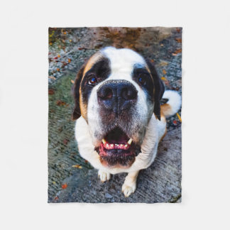 Cobertor De Velo Bernhadiner 