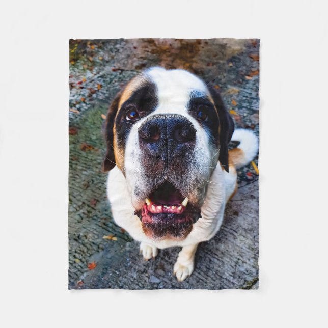 Cobertor De Velo Bernhadiner  (Frente)