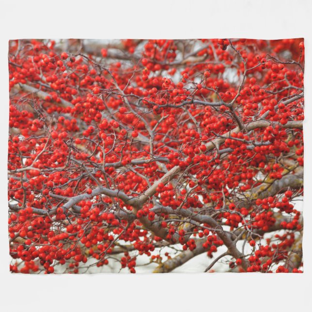 Cobertor De Velo Berries Holly Tree (Frente (Horizontal))