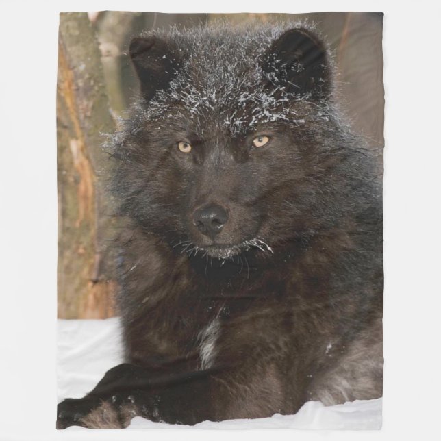 COBERTOR DE VELO BLACK WOLF (Frente)