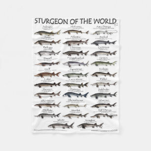 COBERTOR DE VELO BLANKET-STURGEON OF THE WORLD POSTER - PRIMEIRO NU