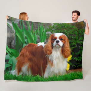 Cobertor De Velo Blenheim Cavalier King Charles Spaniel Dog