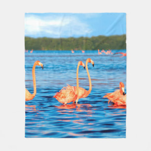 Cobertor De Velo Blocos de lindos flamingos cor-de-rosa no Celestun