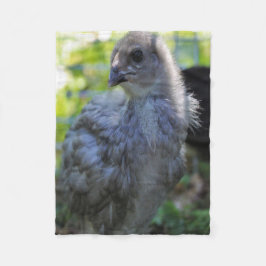 Cobertor De Velo Bluebell